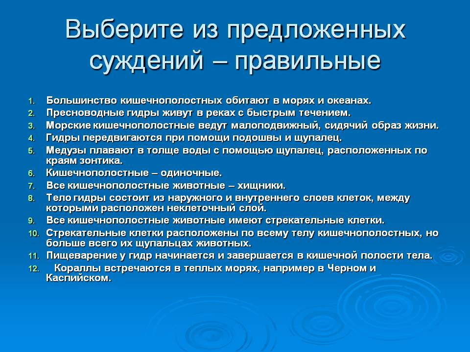 Когда будет работать мега онион